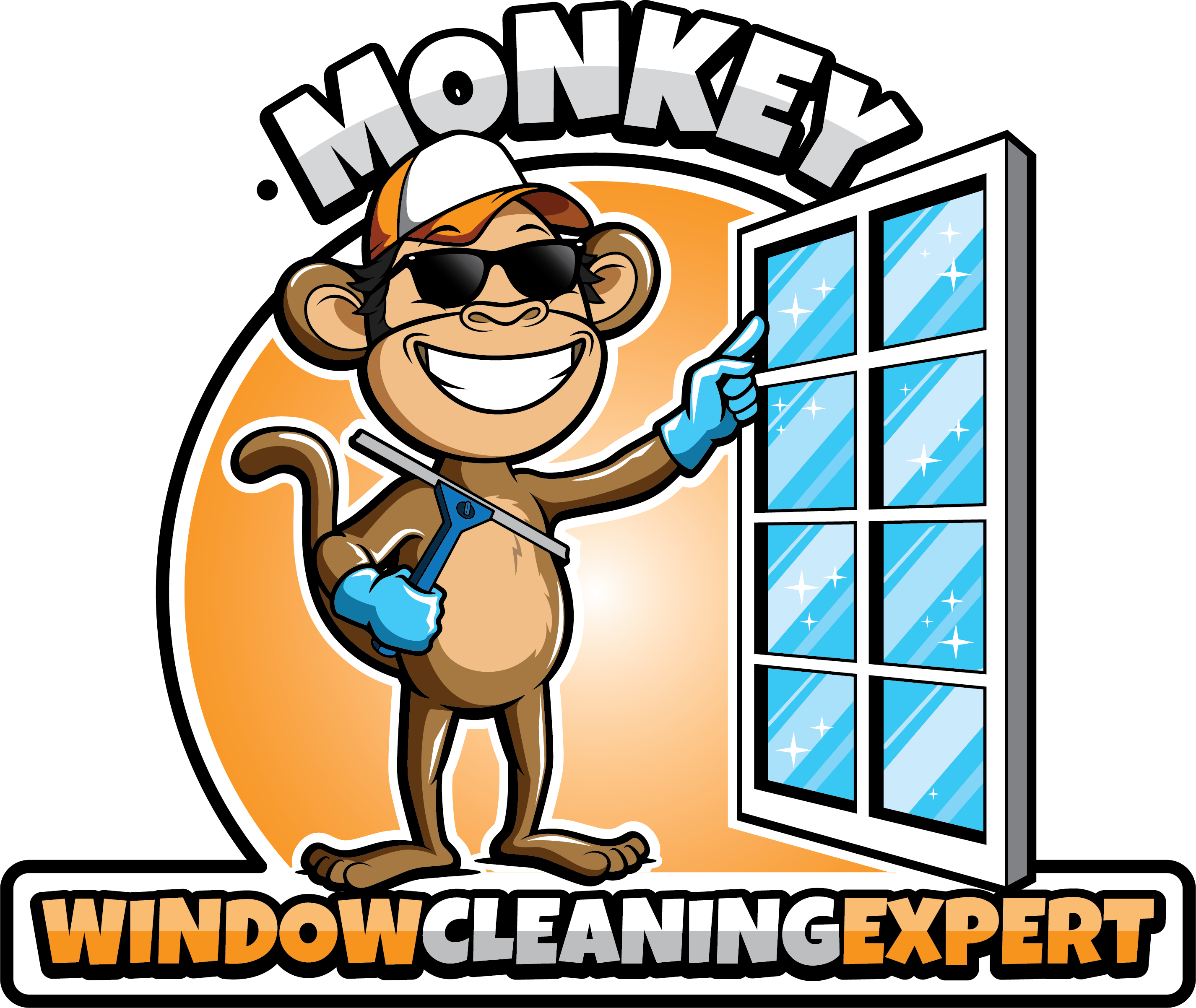 WINDOW CLEANING